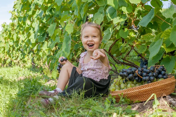 Gadis kecil di kebun anggur — Stok Foto