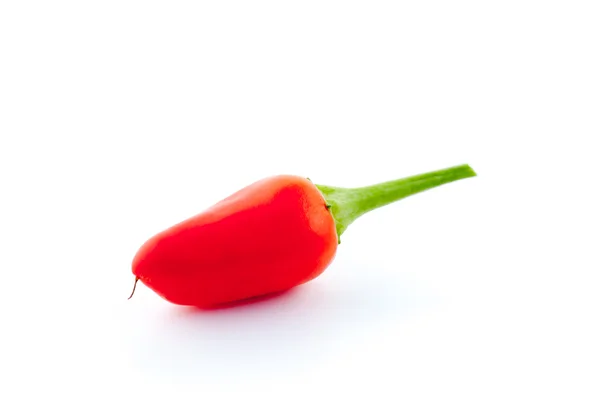 Paprika isoliert auf weißem Hintergrund — Stockfoto