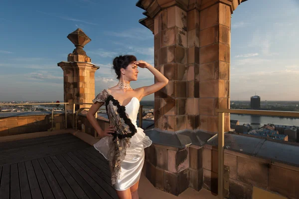 Retrato de una hermosa mujer de lujo al aire libre — Foto de Stock