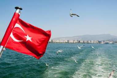 Türkiye'nin bayrak sallayarak martılar ile