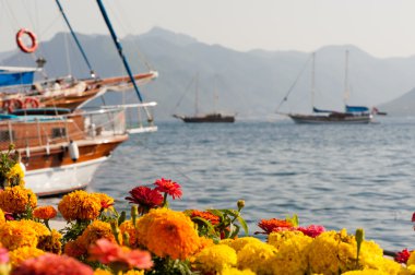 Marmaris armutalan Limanı