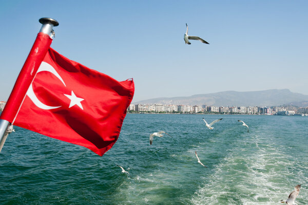 Turkey flag waving with Seagulls