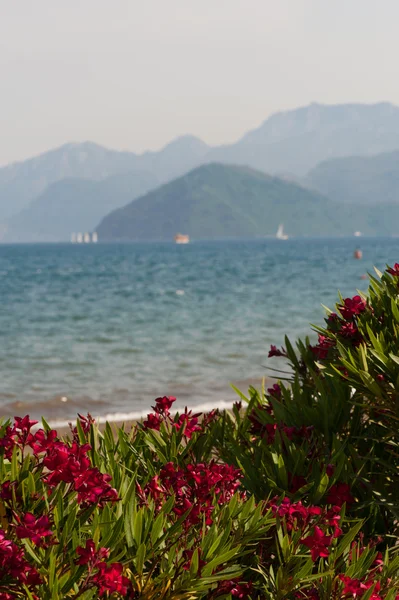 Boat on the water — Stock Photo, Image