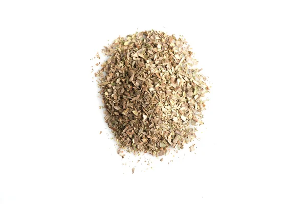 Oregano — Stockfoto