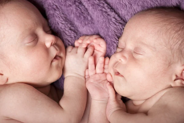 新生双胞胎 — 图库照片