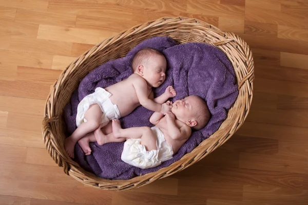 Pasgeboren tweeling — Stockfoto