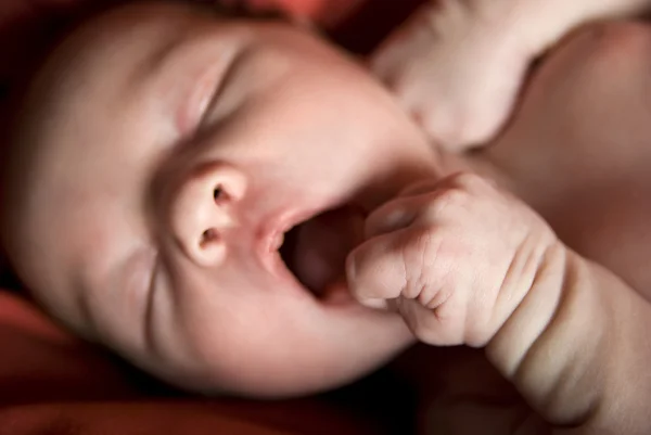 Sleeping newborn — Stock Photo, Image