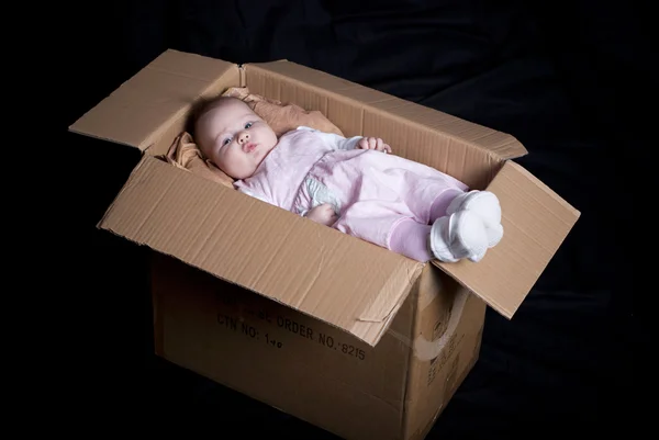 Bebé en caja — Foto de Stock