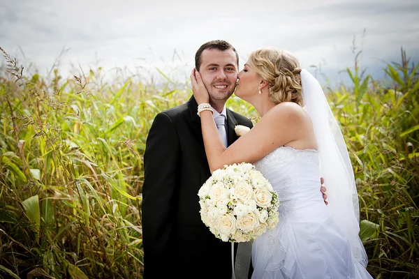 Wedding outdoor portraits — Stock Photo, Image