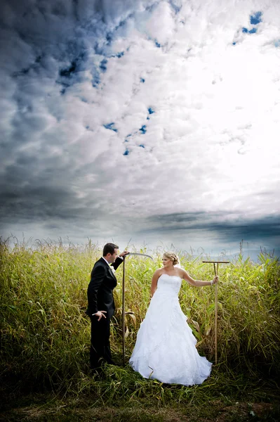 Wedding outdoor portraits — Stock Photo, Image