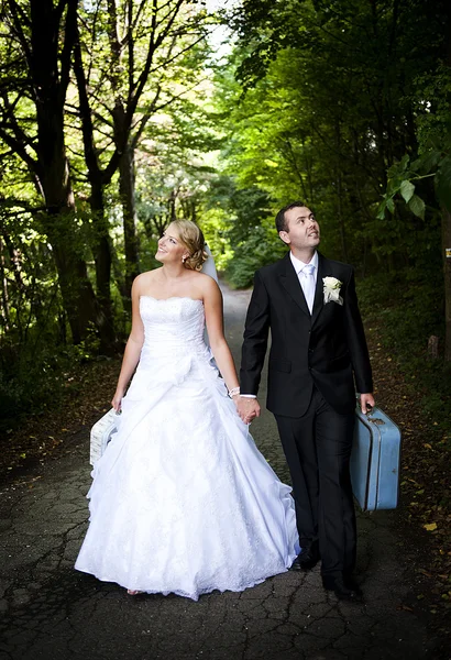 Wedding outdoor portraits — Stock Photo, Image