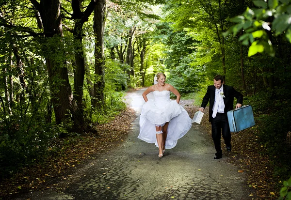 Wedding outdoor portraits — Stock Photo, Image