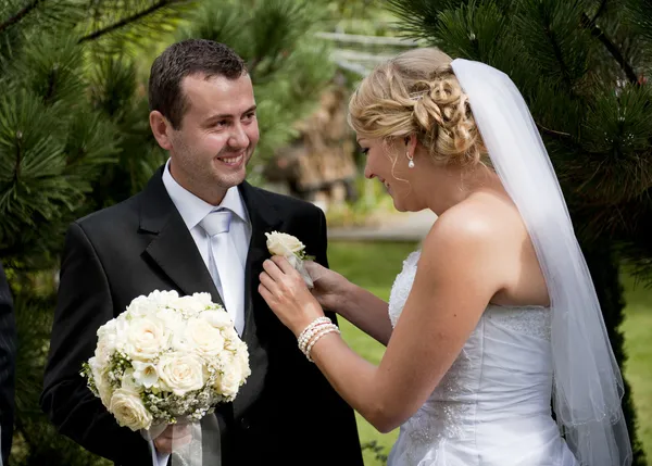 Wedding outdoor portraits — Stock Photo, Image