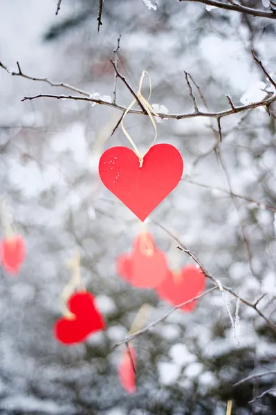 Красное сердце — стоковое фото