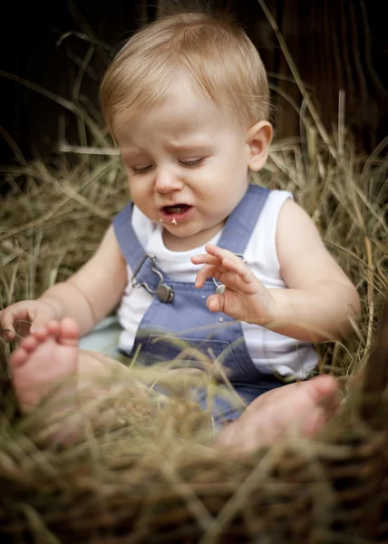 Família na fazenda — Fotografia de Stock