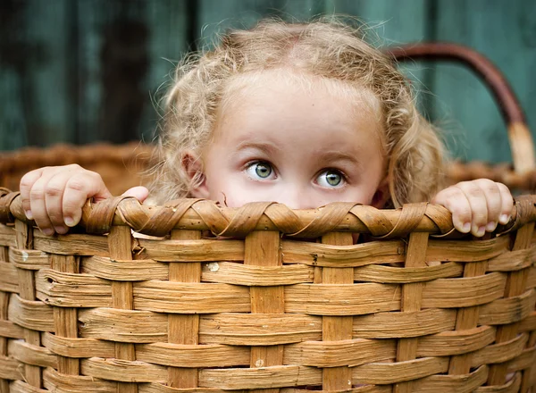 Маленькая девочка в корзине — стоковое фото