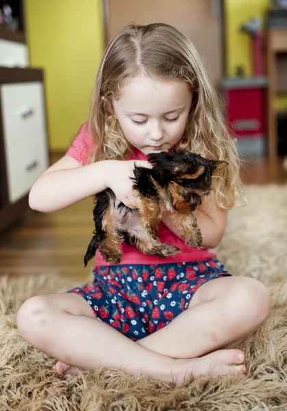 Niña y cachorro —  Fotos de Stock