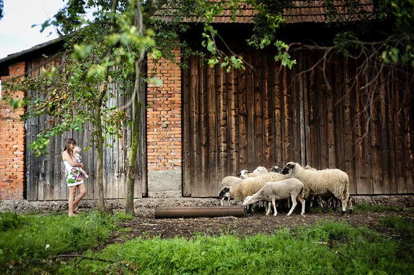 Familia en la granja — Foto de Stock