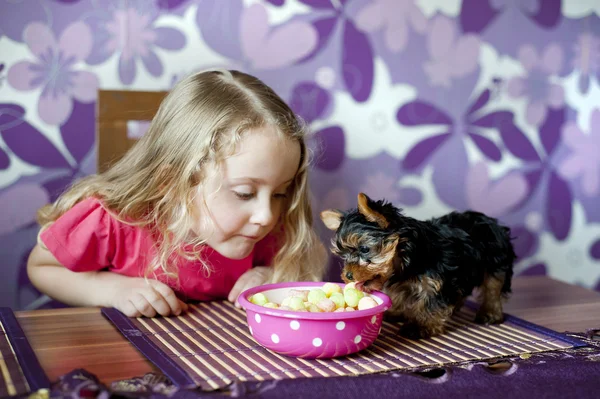 Klein meisje en puppy — Stockfoto