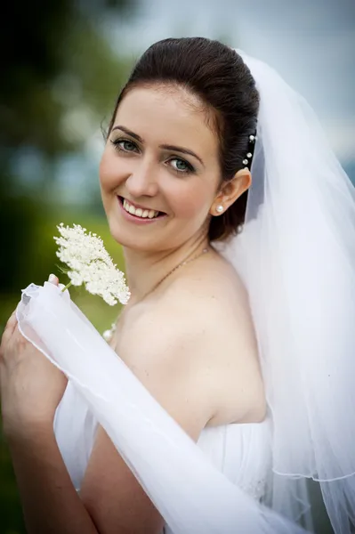 Beautiful bride — Stock Photo, Image