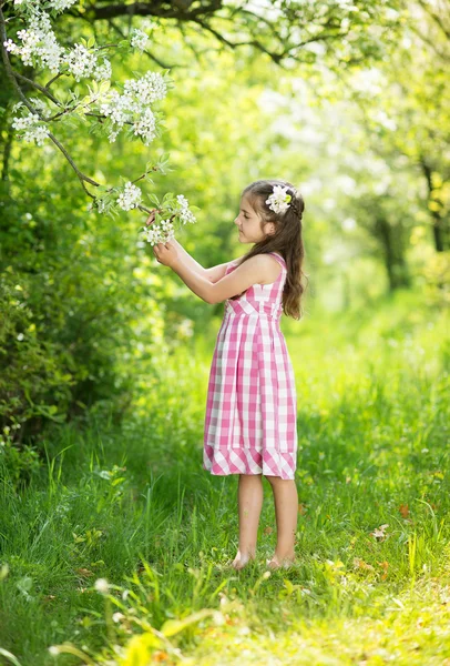 Schattig meisje — Stockfoto