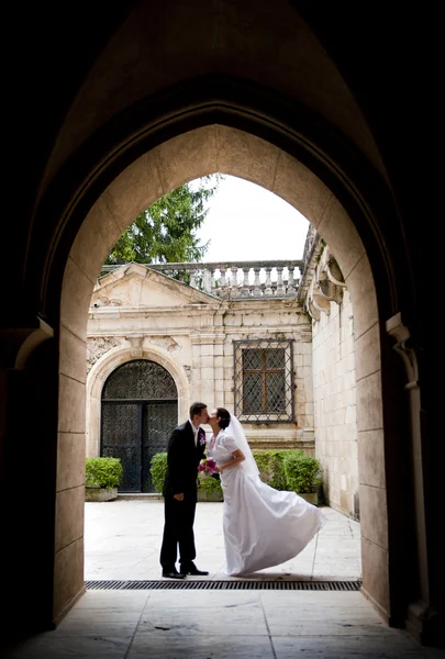 Novia y novio —  Fotos de Stock