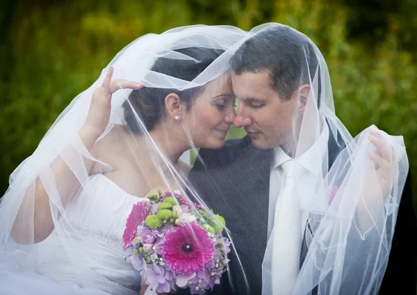 Novia y novio — Foto de Stock