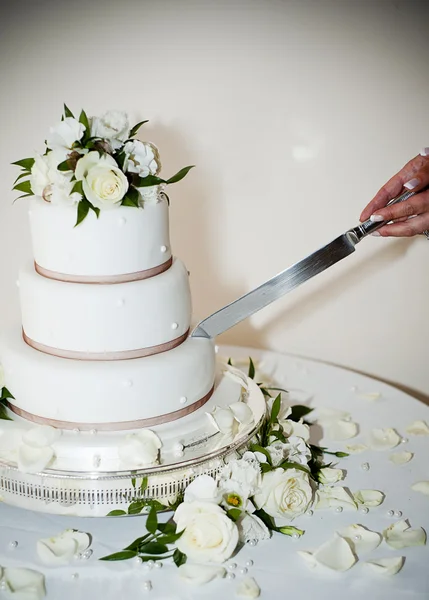 Bolo de casamento — Fotografia de Stock