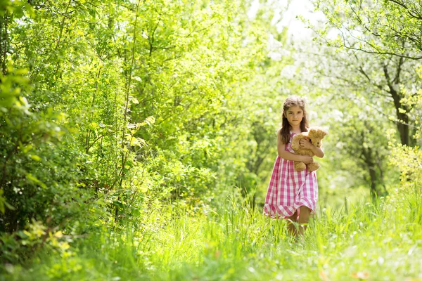 Meisje met teddy — Stockfoto