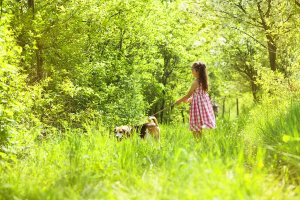 Liten flicka med hund — Stockfoto