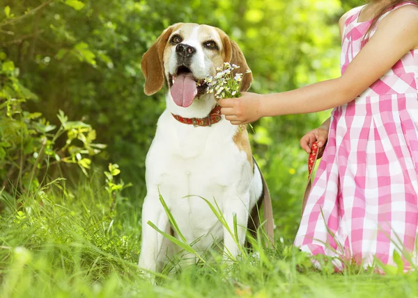 Köpekli küçük kız. — Stok fotoğraf