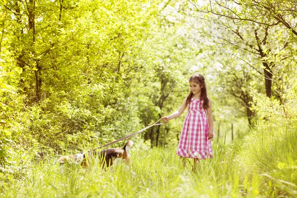 Liten flicka med hund — Stockfoto