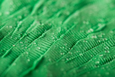 Soyut arkaplan dokusu