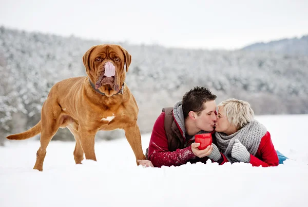 Par i vinter — Stockfoto