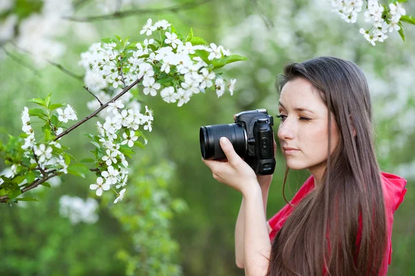 Fotograaf — Stockfoto