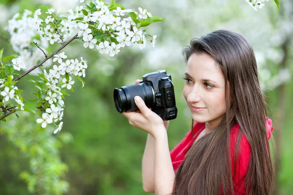 Fotografer — Stok Foto