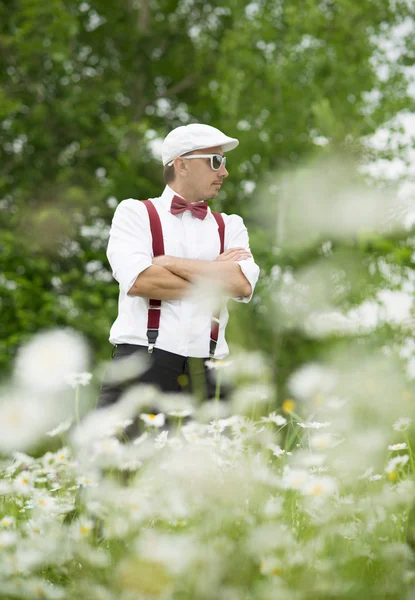 Stilig kusk — Stockfoto