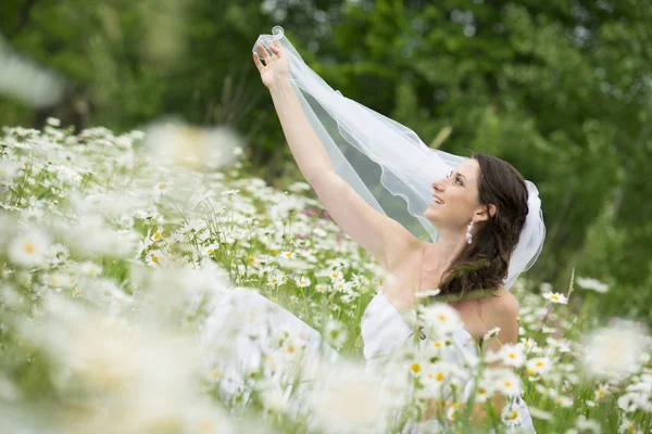 Bridal portrait — Stock Photo, Image