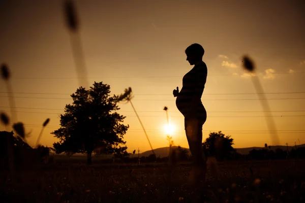 Pregnant silhouette — Stock Photo, Image