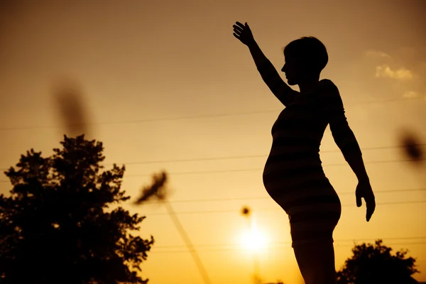 Silhouette incinta — Foto Stock