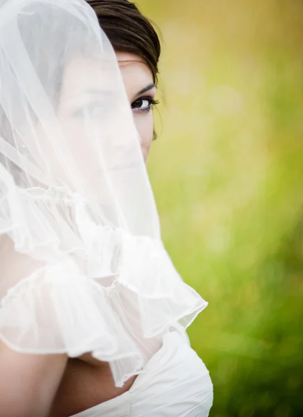 Lovely bride — Stock Photo, Image
