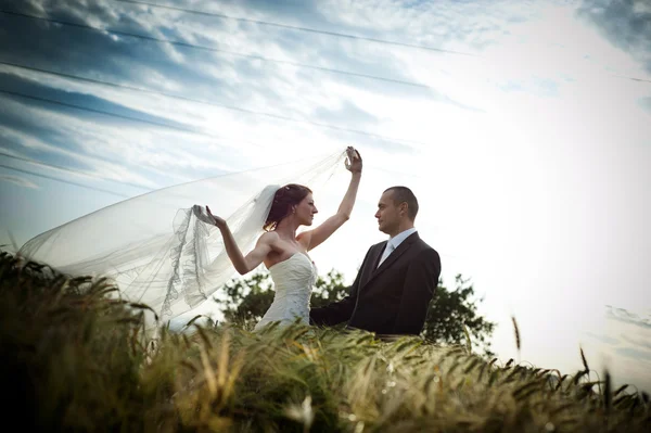 Bride and groom — Stock Photo, Image