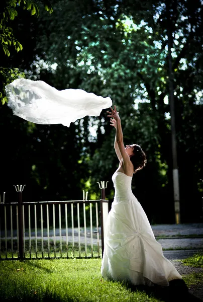 Linda noiva. — Fotografia de Stock