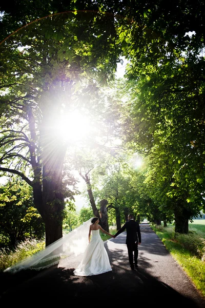 Novia y novio — Foto de Stock