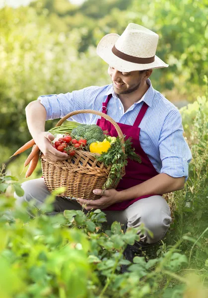 Trädgårdsmästare — Stockfoto