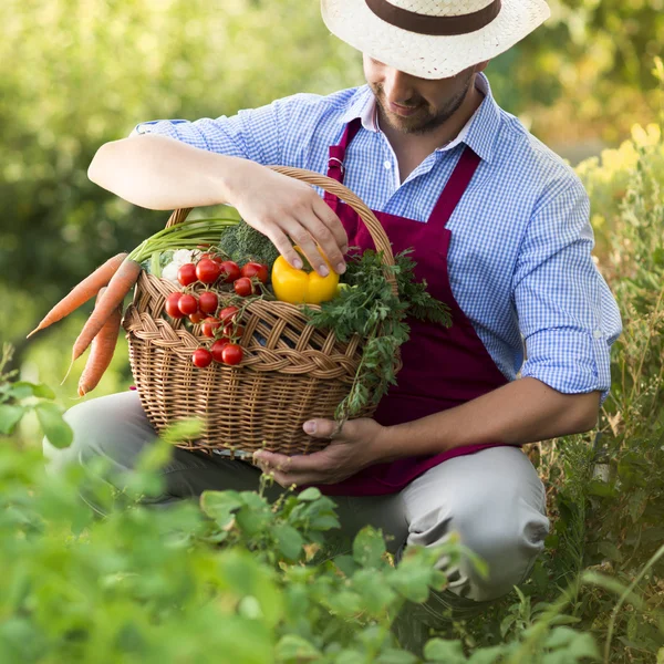 Giardiniere — Foto Stock