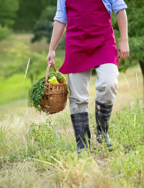 Gardener — Stock Photo, Image