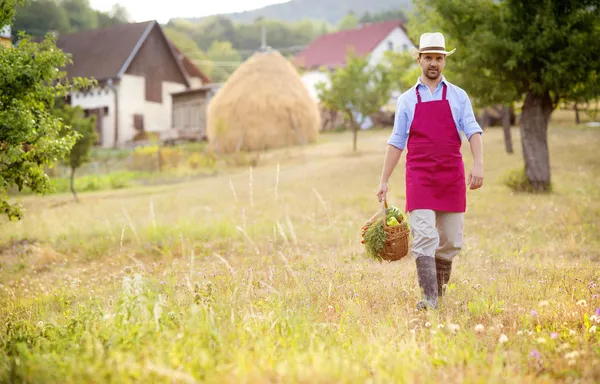 Tuinman — Stockfoto