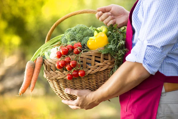 Tuinman — Stockfoto