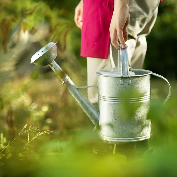 Gardener — Stock Photo, Image